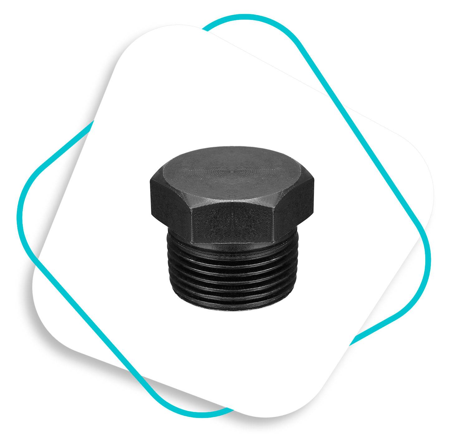 ASME B16.11 Hex Head Plug