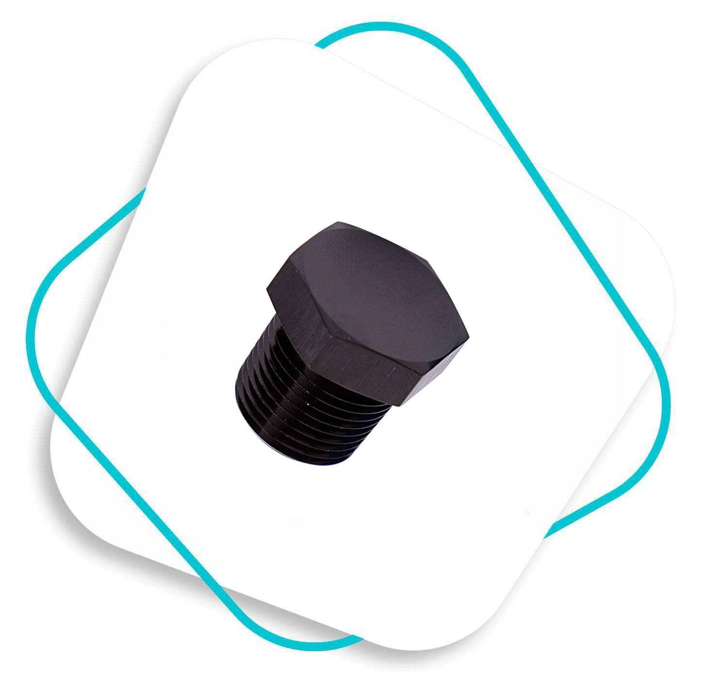 MS Hex Head Plug