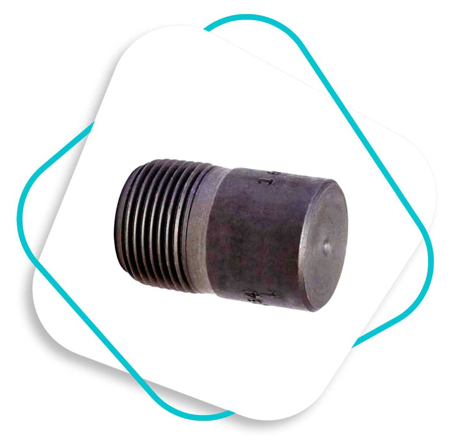 ASTM A105 Round Head Plug
